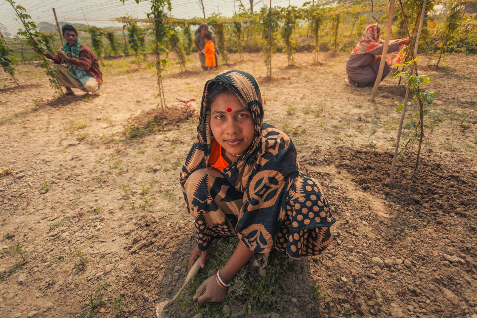 Rural community livelihood and wellbeing